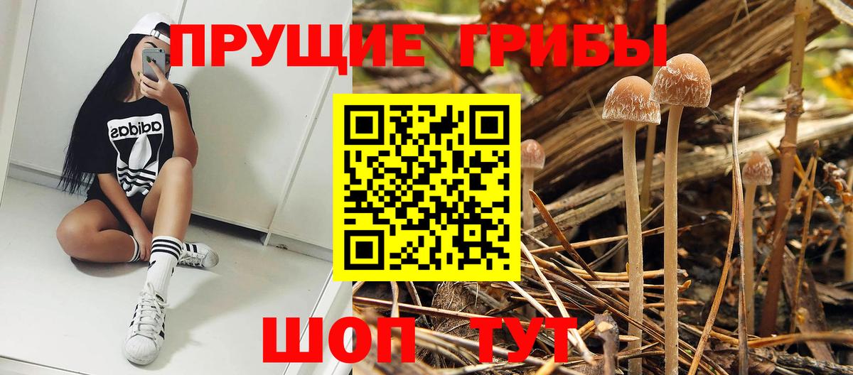 Галлюциногенные грибы Cubensis Сергиев Посад