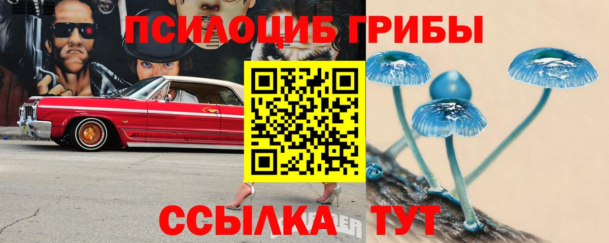 Галлюциногенные грибы Psilocybe  Вход с VPN  хочу   Сергиев Посад 